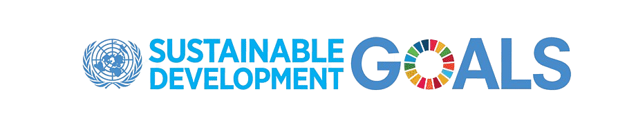 SDG Icon