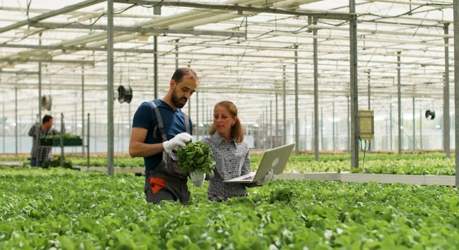 Agriculture Skill Development for Sustainable Farming